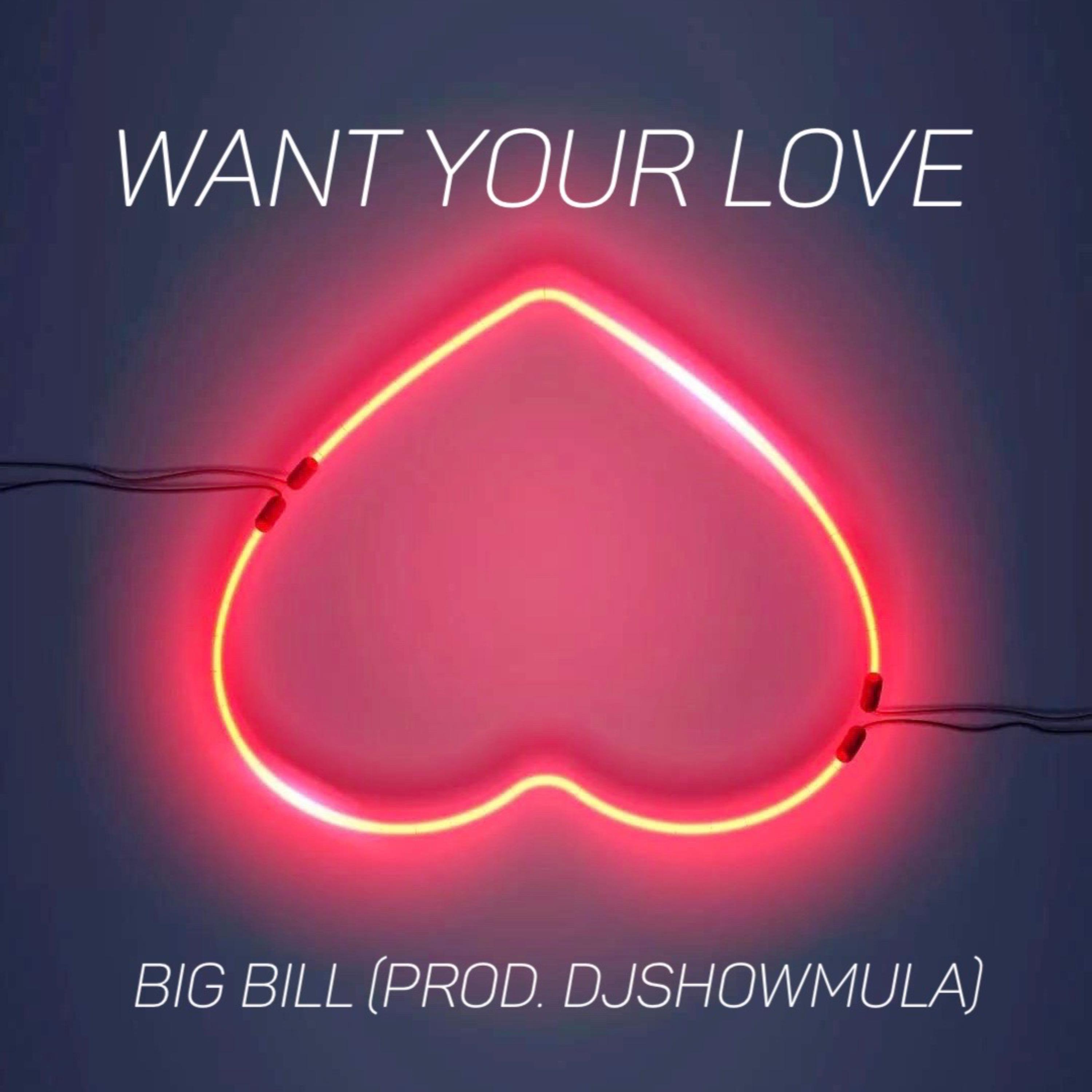 Want Your Love
