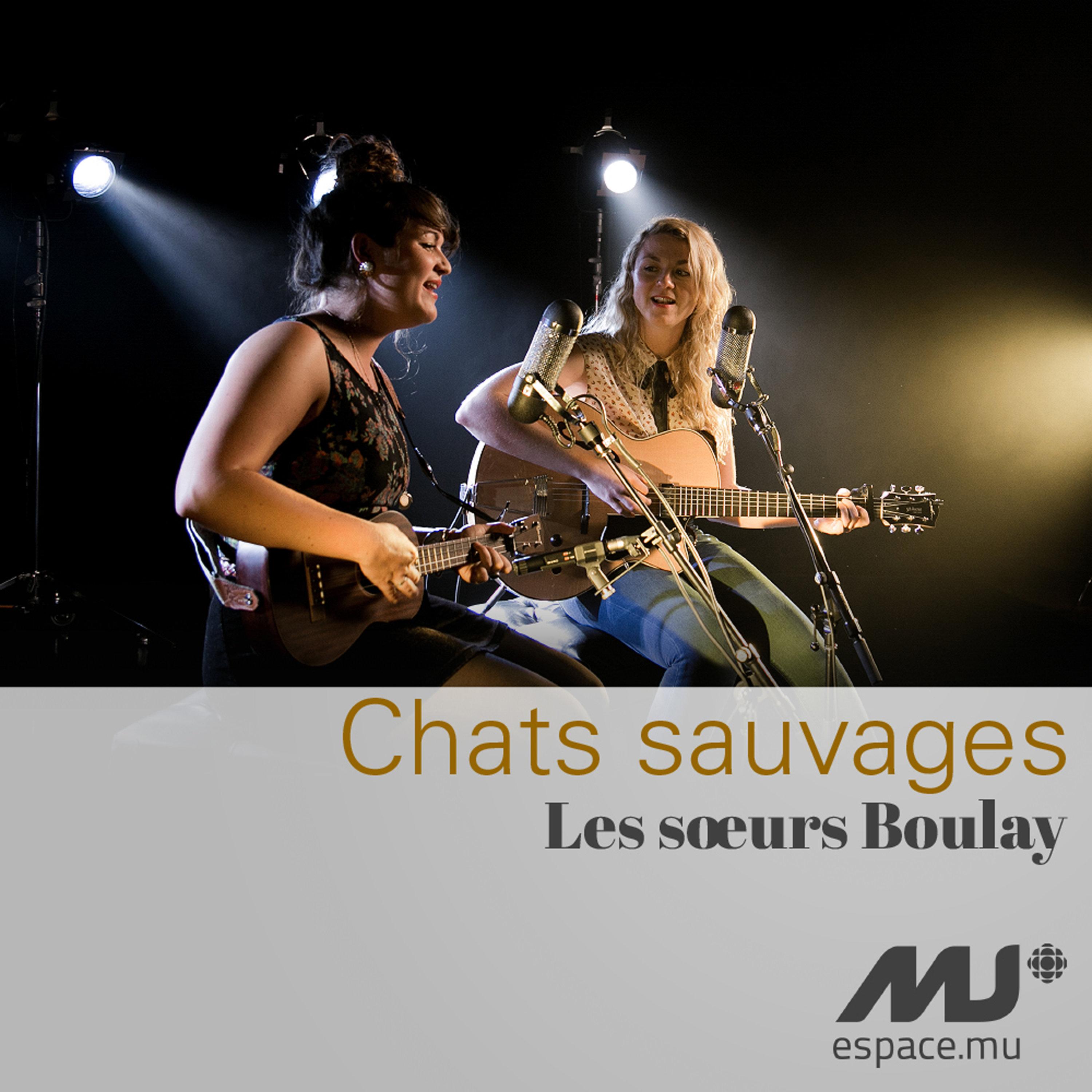 Chats sauvages (exclusivité Espace Musique) - Single