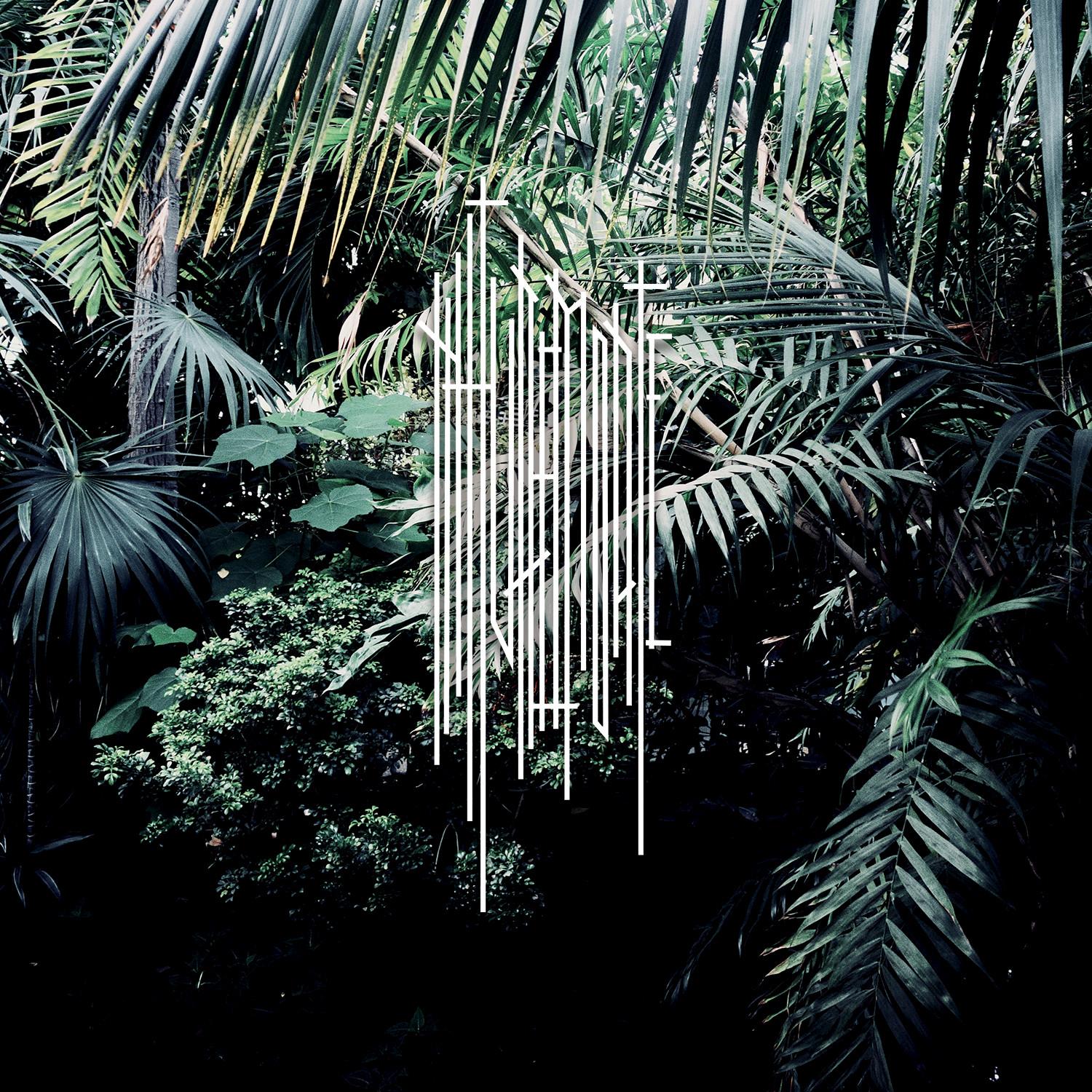 NM1