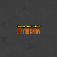 Black and White - Niall Horan (VS karaoke) 带和声伴奏