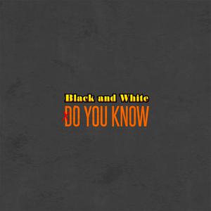 Black and White - Niall Horan (Karaoke Version) 带和声伴奏