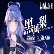 黑凤梨