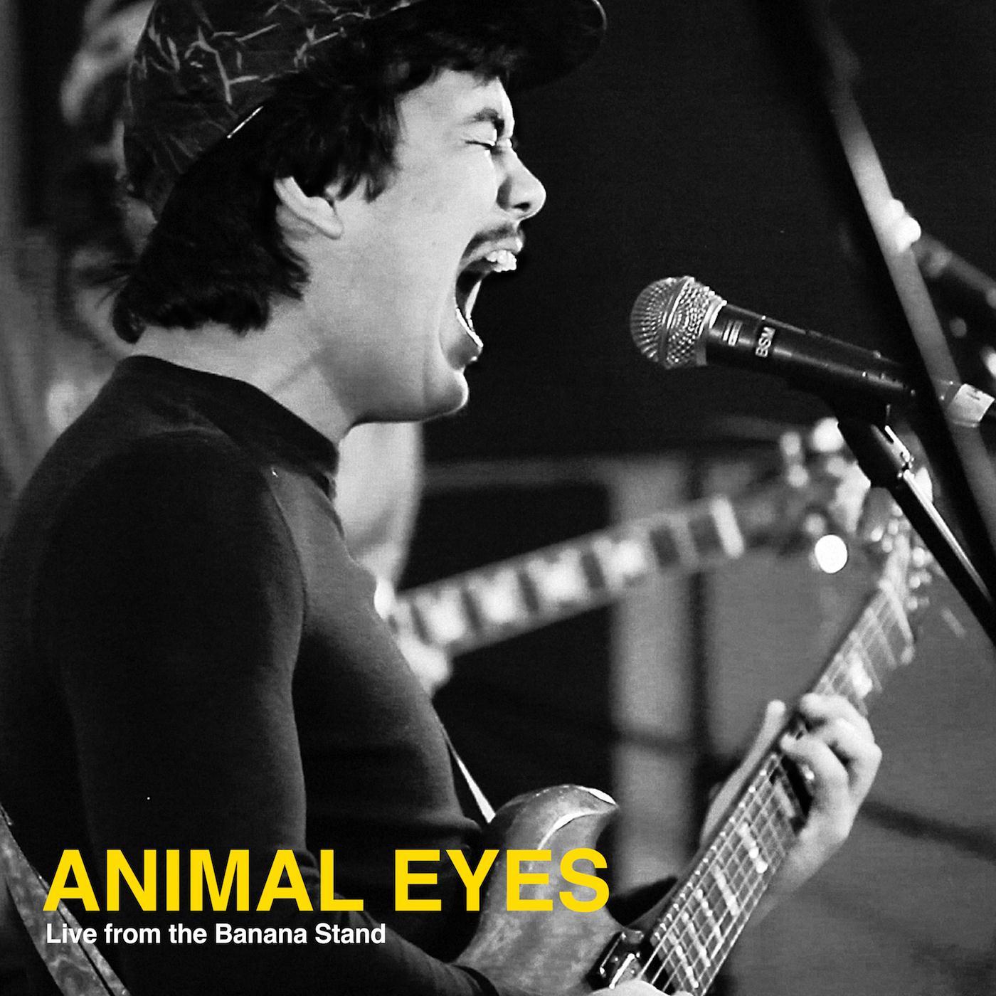 Animal Eyes - Cold Coastline (Live)
