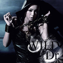 Wild / Dr.专辑