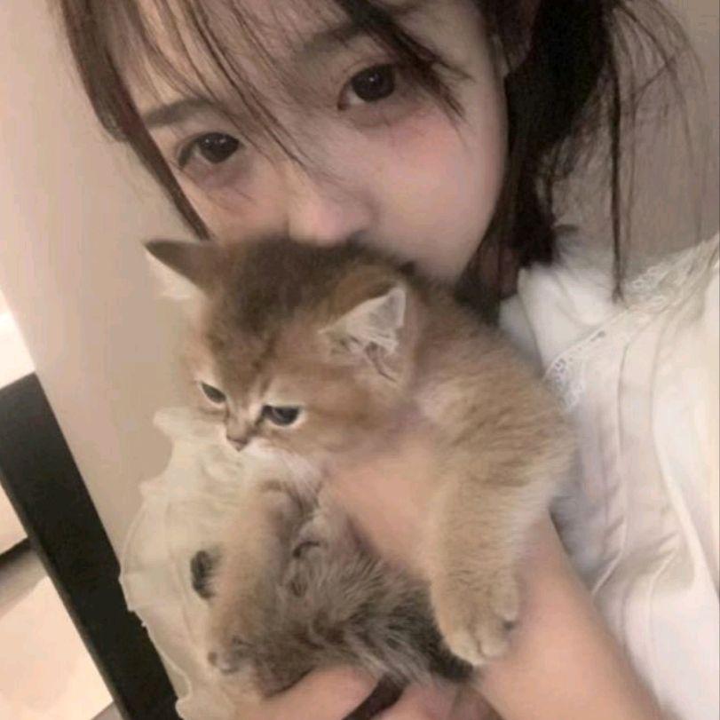 上旋律