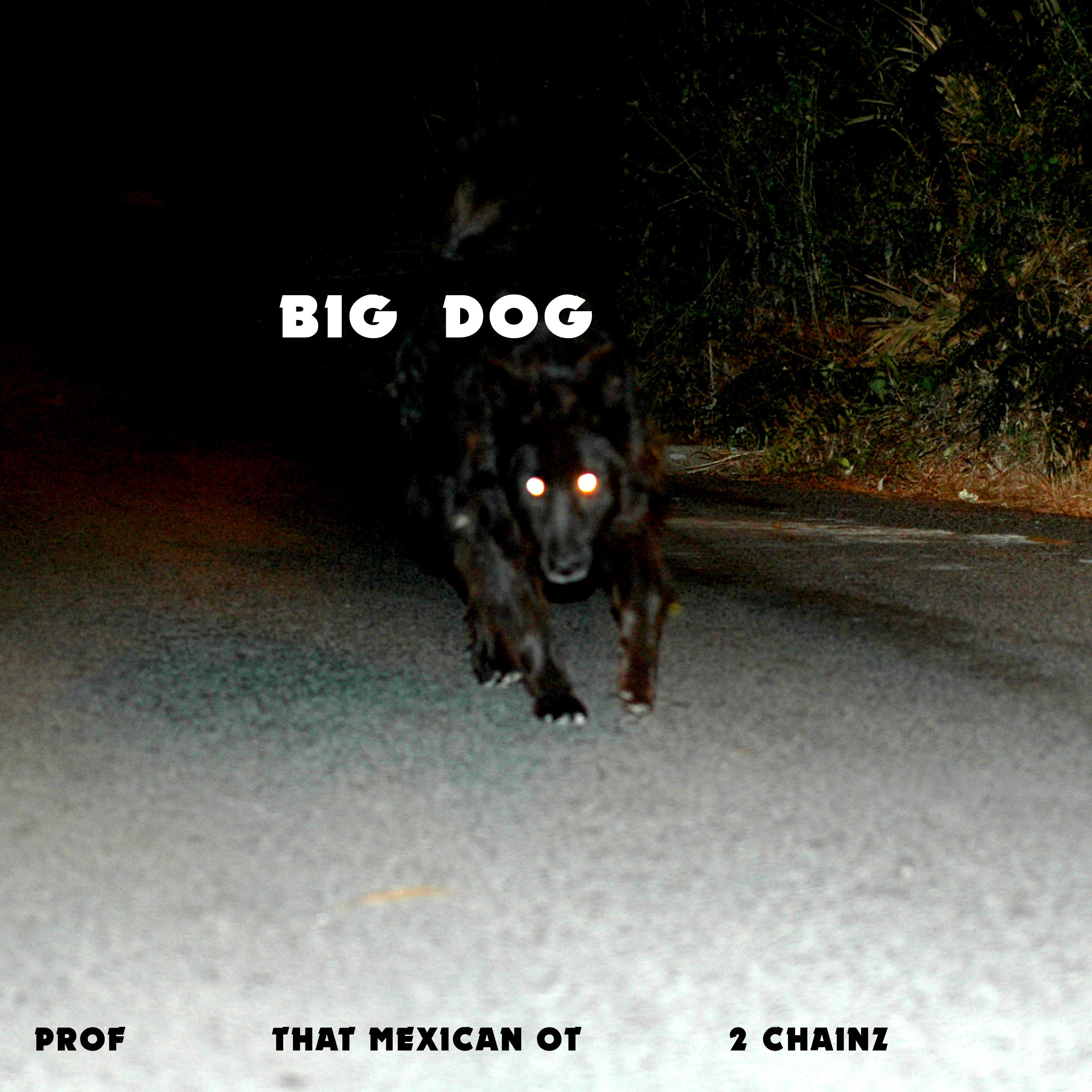 Big Dog