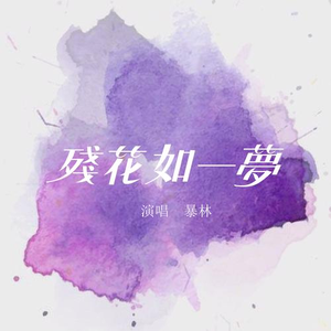 暴林 - 残花如一梦(伴奏) （升8半音）