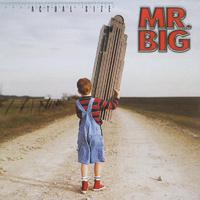 Mr. Big - Shine (Karaoke Version) 带和声伴奏