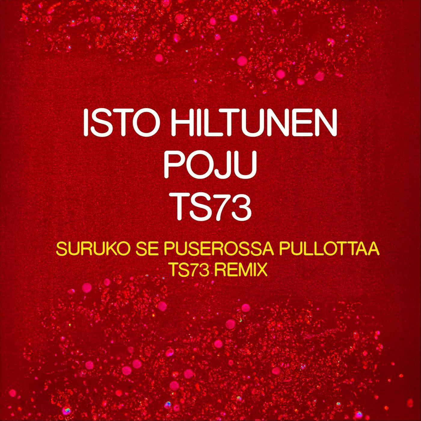 Isto Hiltunen - Suruko se puserossa pullottaa TS73 Remix