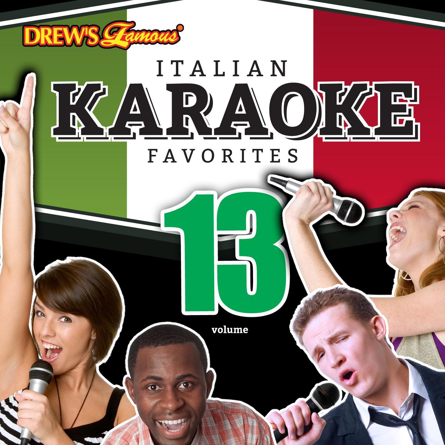 Italian Karaoke Favorites, Vol. 13