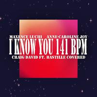 I Know You - Craig David Ft. Bastille (unofficial Instrumental)