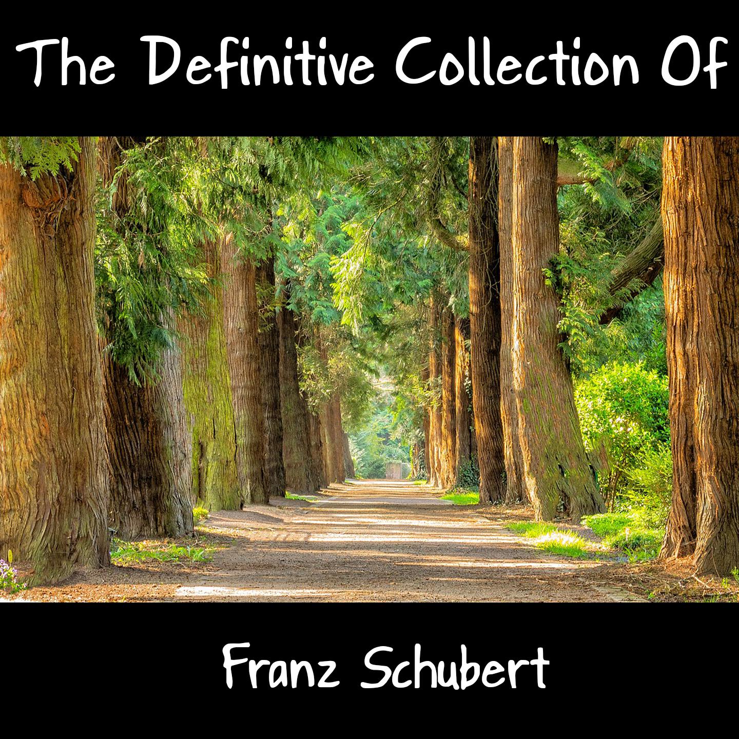 The Definitive Collection Of Franz Schubert专辑