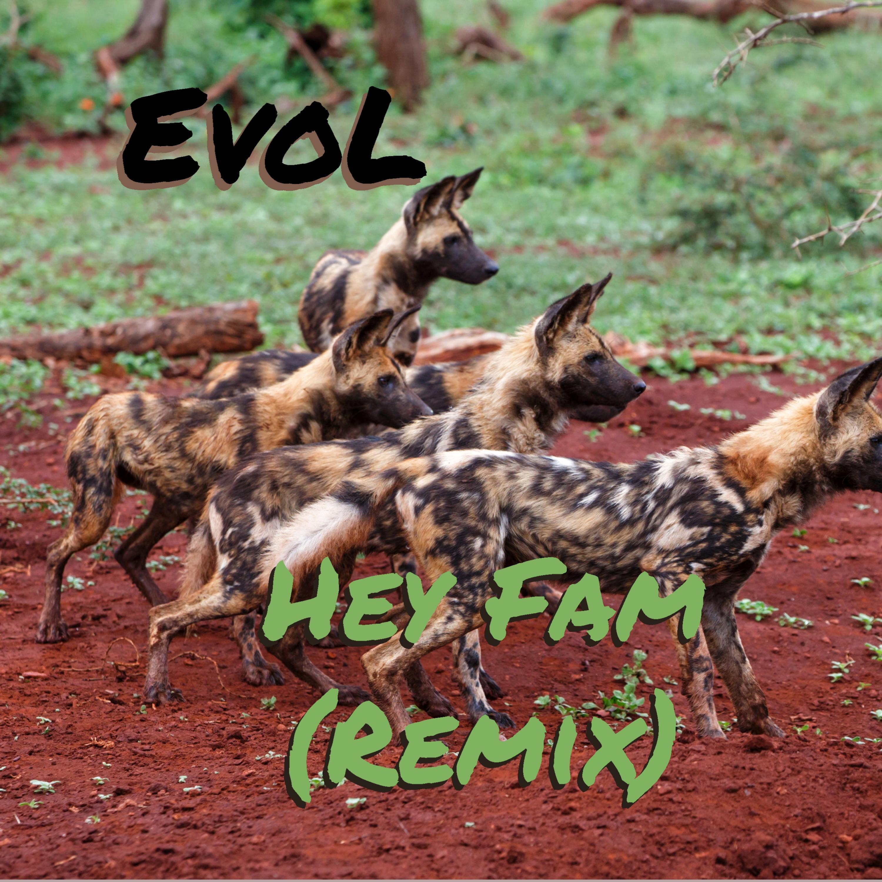 Hey Fam (feat. The Kauz) [Remix]