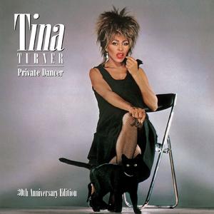 What's Love Got to Do with It - Tina Turner (HT Instrumental) 无和声伴奏