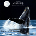 Journey With the Whales