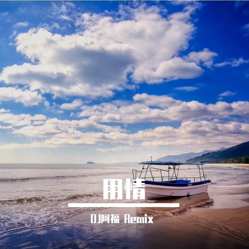 羊羊 - 用情 (DJ阿福 Remix)