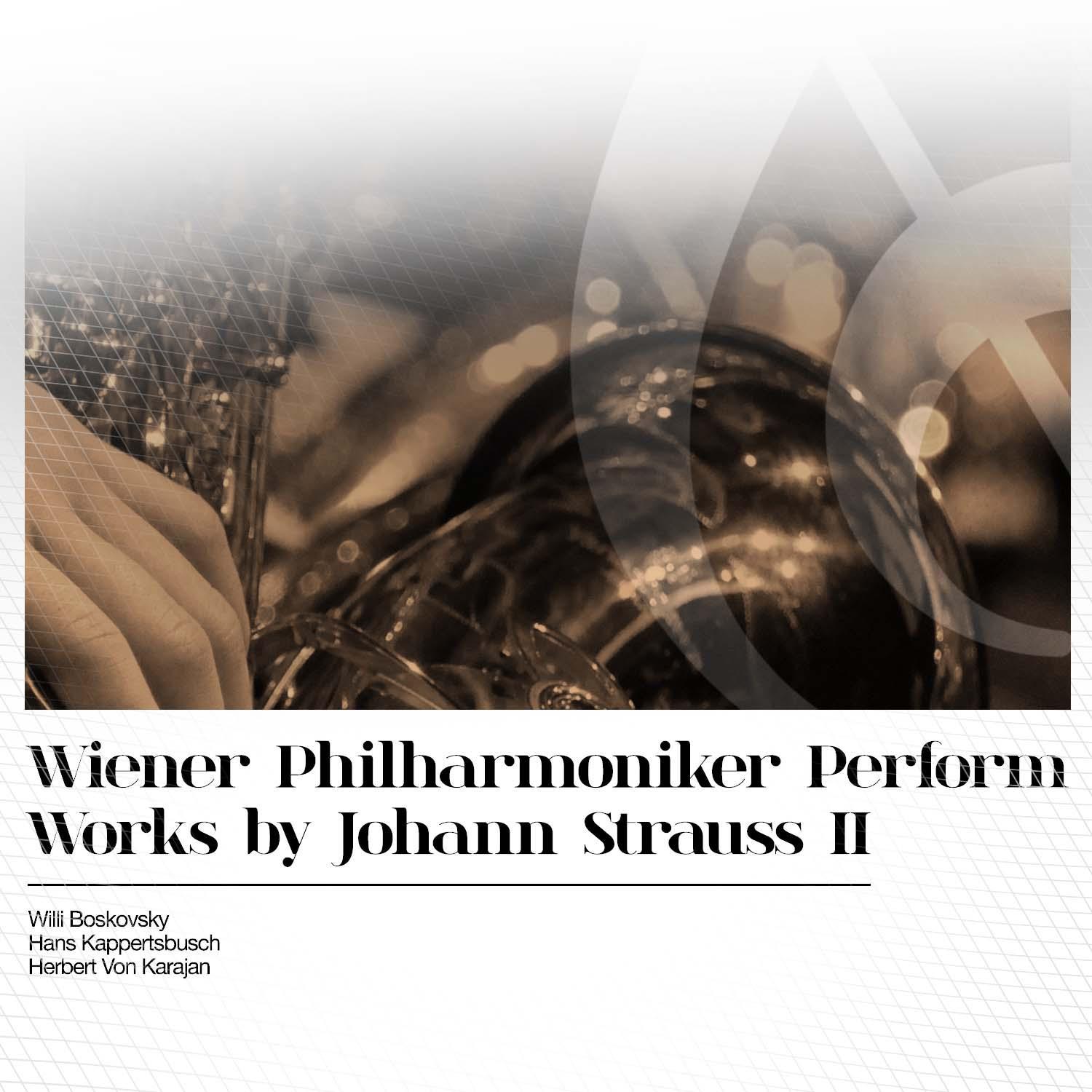 Wiener Philharmoniker Perform Works by Johann Strauss II专辑