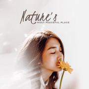 Nature’s Most Peaceful Place: Best Relaxing Sounds of 2019 New Age, Soothing Music for Calming Down 
