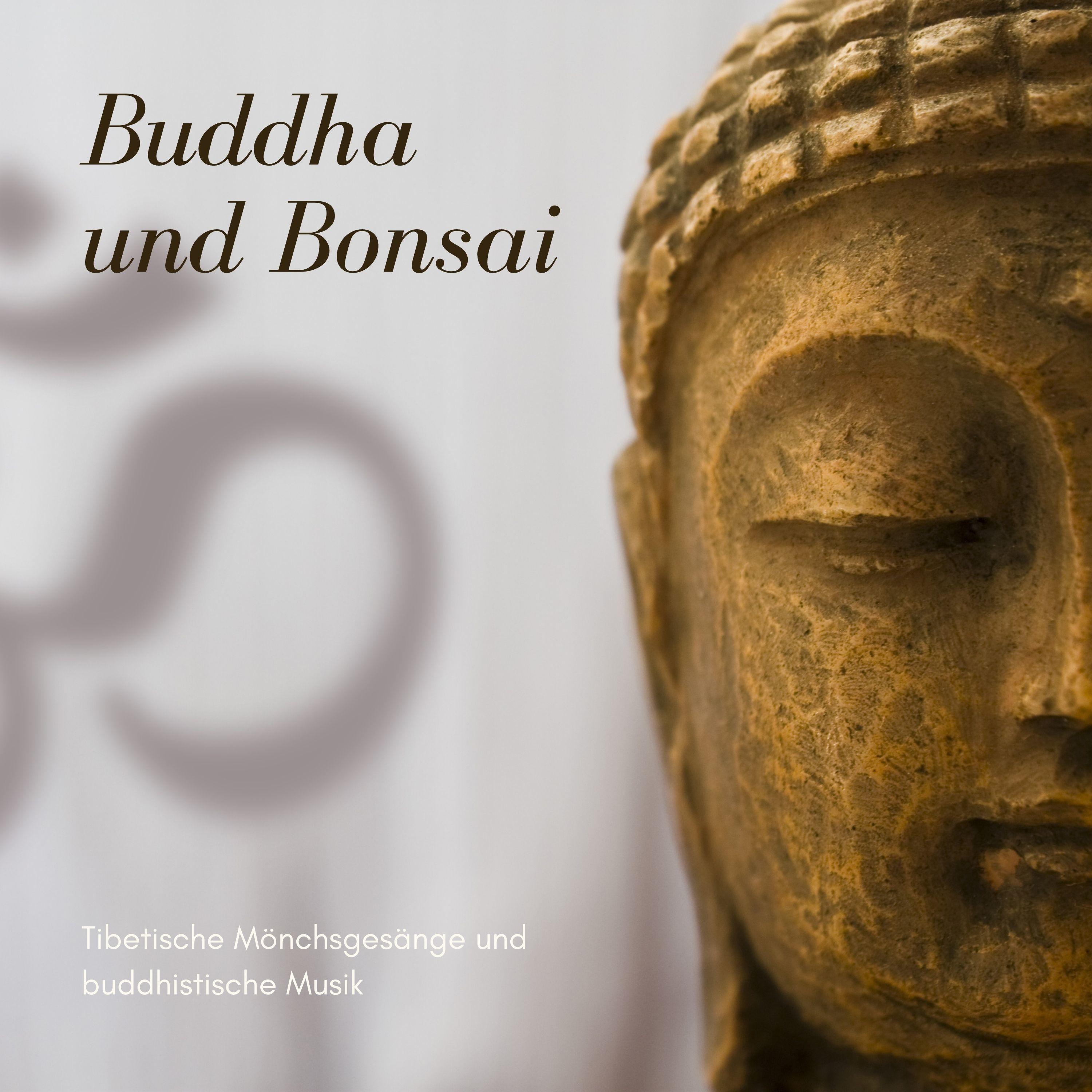 Buddha Virtue - Heilen Esoterik