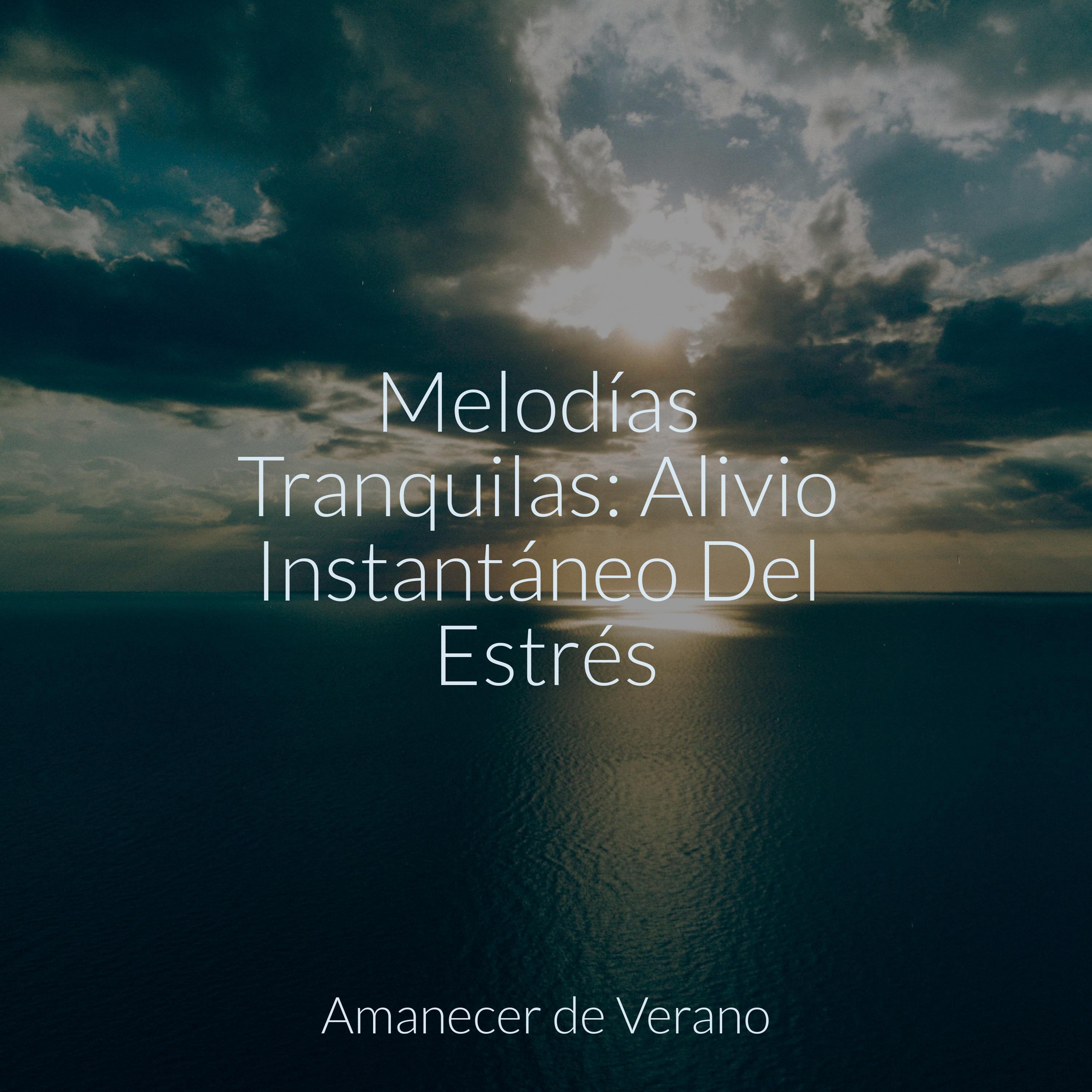Melodías Tranquilas: Alivio Instantáneo Del Estrés