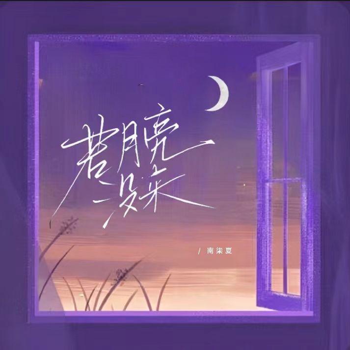 若月亮没来