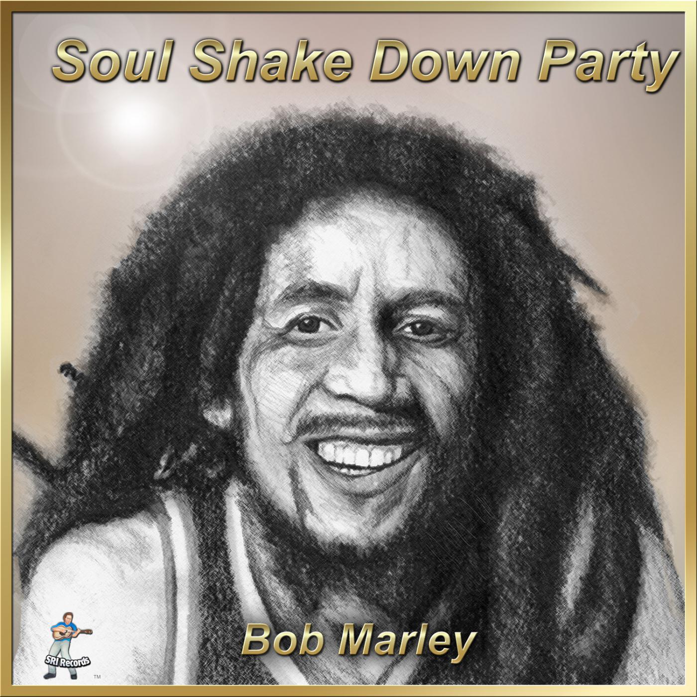 Soul Shake Down Party专辑