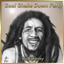 Soul Shake Down Party专辑