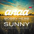 Sunny (Anaa Remix)