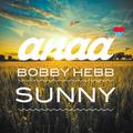 Sunny (Anaa Remix)