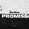 Skrillaa - Promise