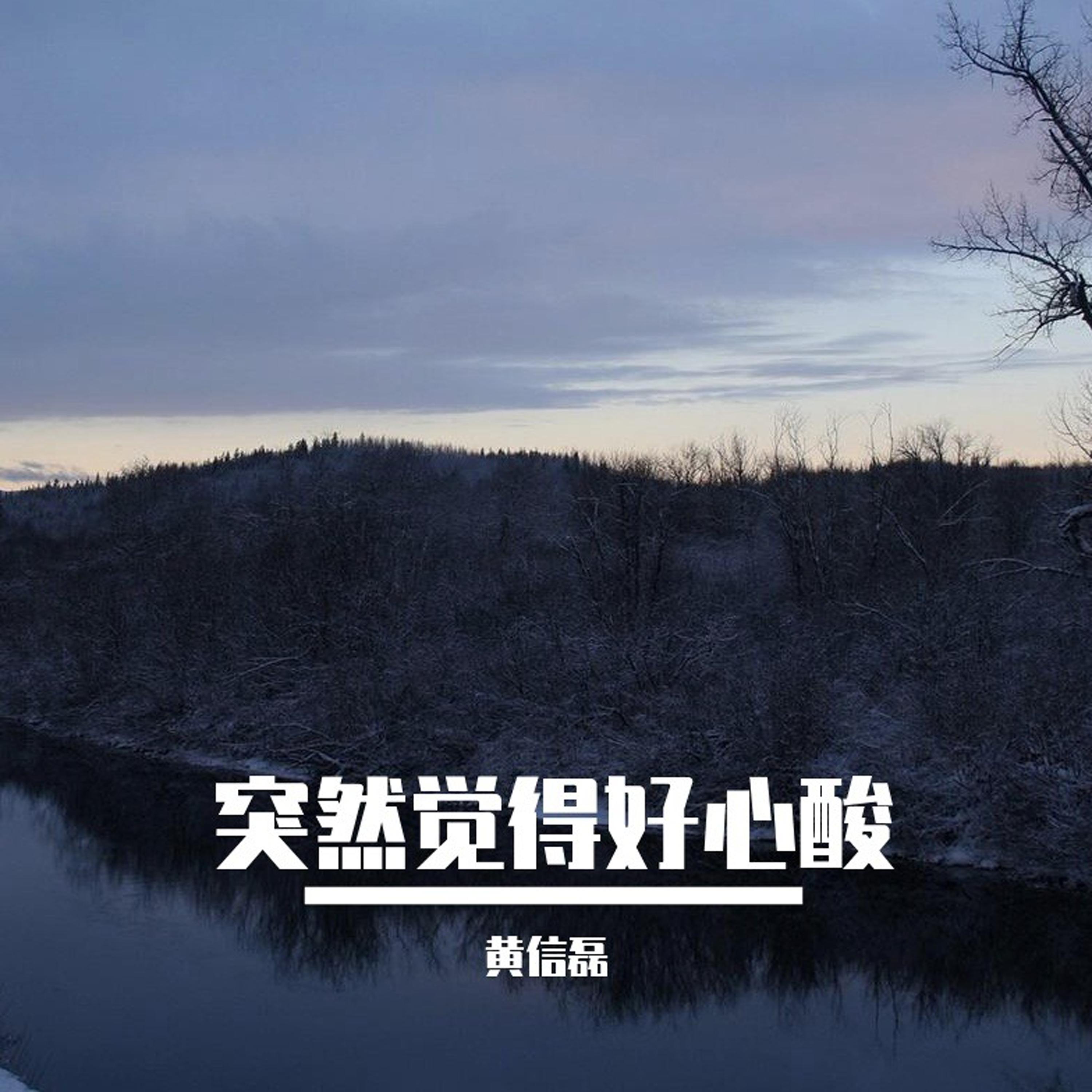 突然觉得好心酸