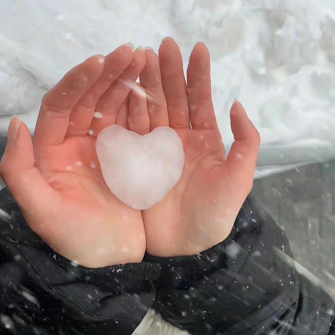 秋雨不问梧桐意
