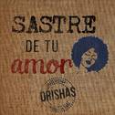 Sastre de Tu Amor专辑