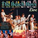The Beach Boys, Live专辑