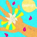 Candy Lily (Remix ver.)专辑