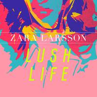 Lush Life - Zara Larsson (钢琴伴奏)