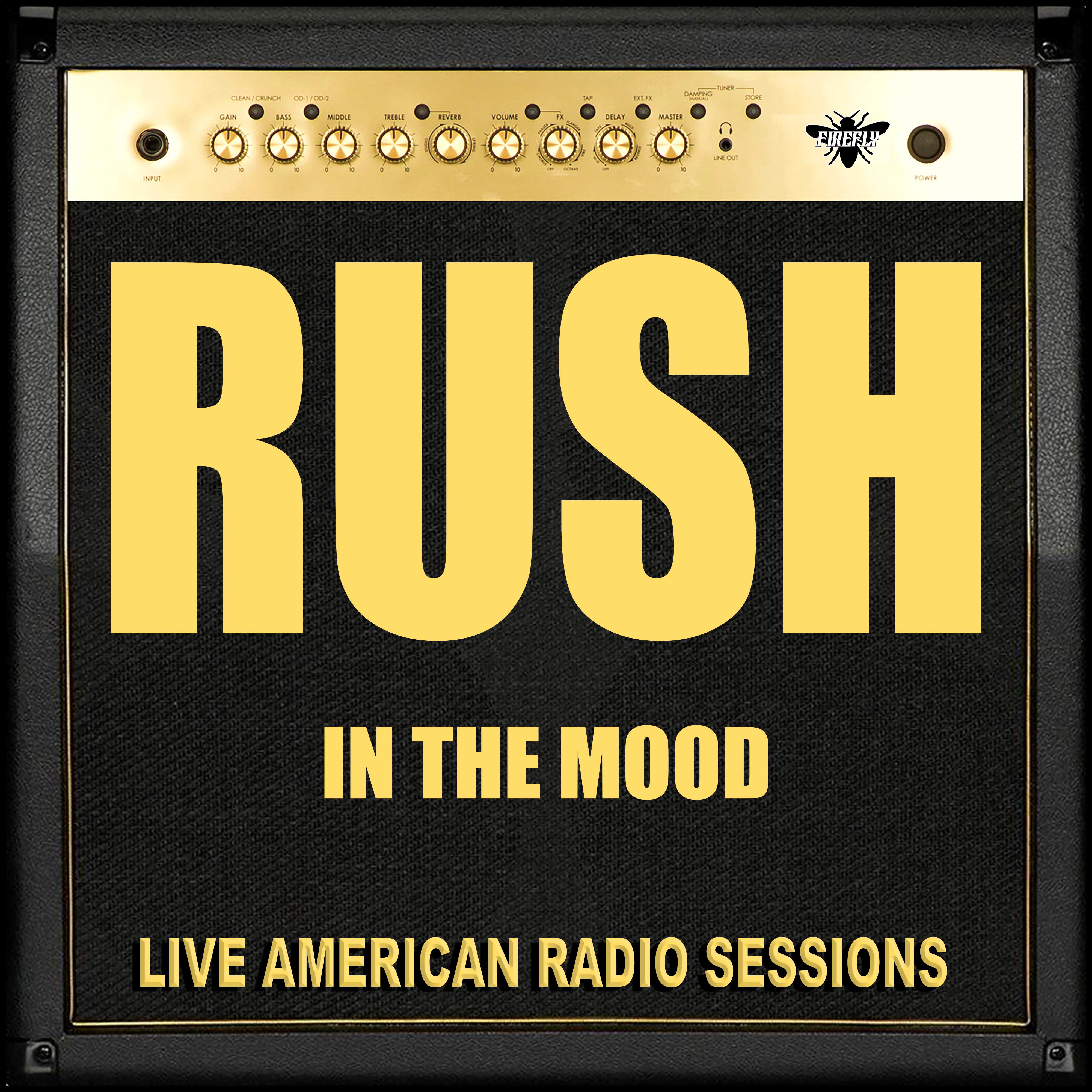 In the Mood (Live)