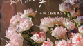 盛开在梦里的花专辑