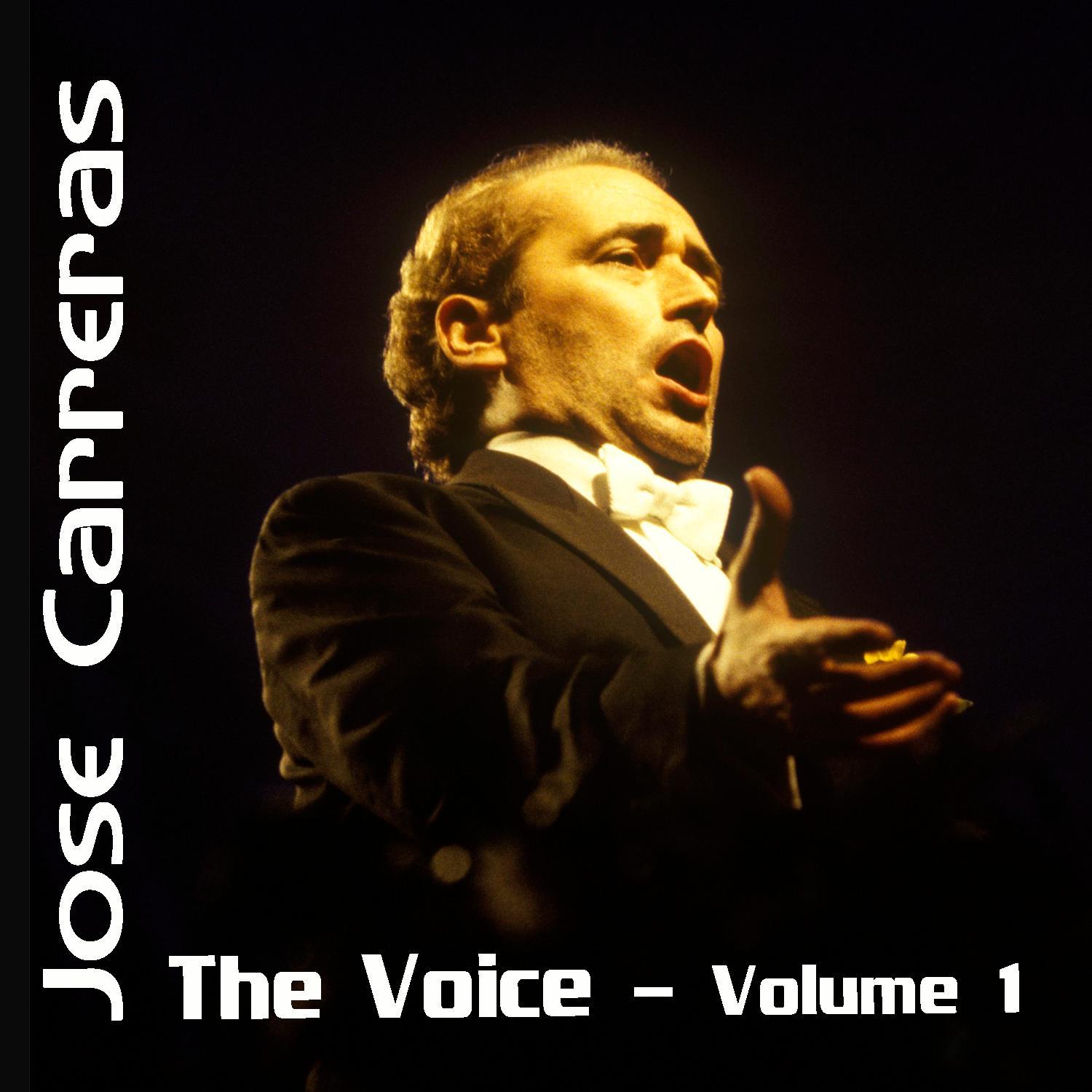 The Voice Volume 1