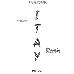 Stay (Remix抢先试听版)