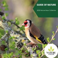 Guide of Nature - 2020 Nature Music Collection