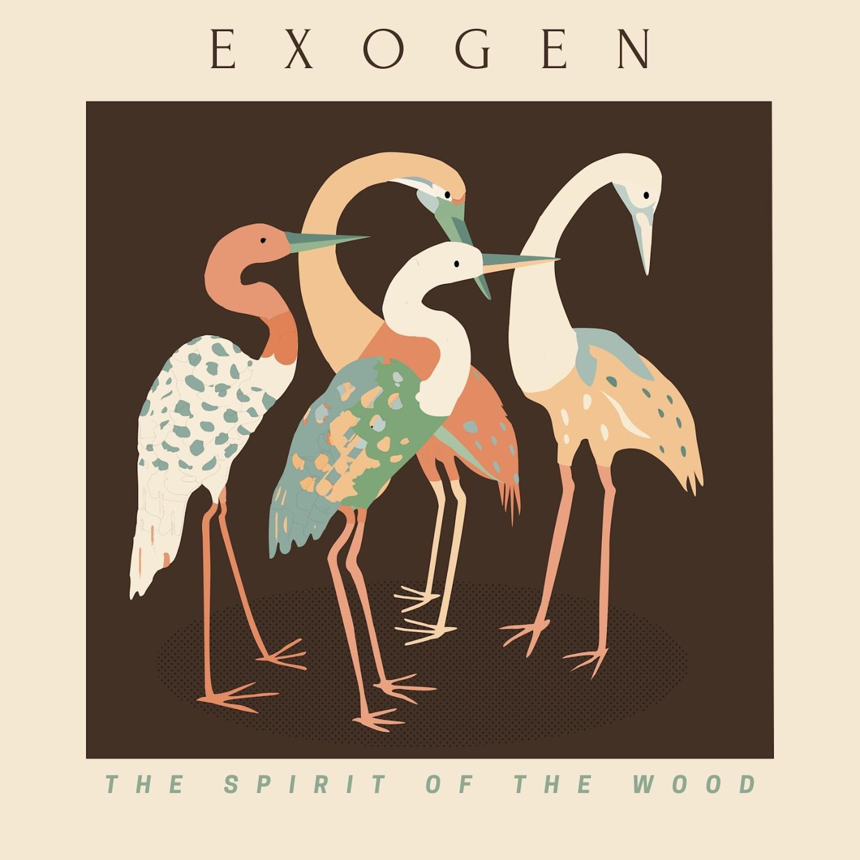 Exogen - How Beautiful You Are (Single)