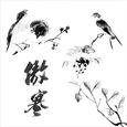 傲寒
