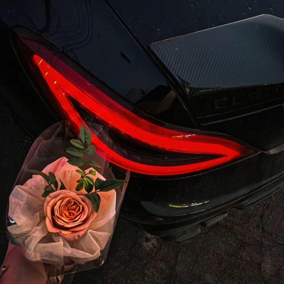 Automotivo Bibi Fogosa
