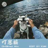 叮崽摇3.0（DJ10叔版）