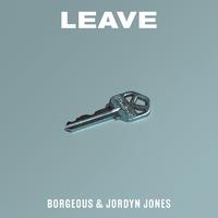 Borgeous & Jordyn Jones - Leave (Official Instrumental) 原版无和声伴奏