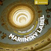 Celebrating 5 Years of the Mariinsky