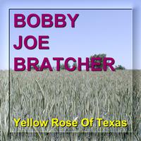 The Yellow Rose Of Texas - Classic Song (instrumental)