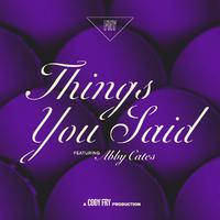 Cody Fry & Abby Cates - Things You Said (Pre-V) 带和声伴奏