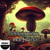 Astro Eviterno - Percepción Indefinida (feat. Darpress, Nightcore Ichiban, Nightcore Red, Nightcore Hits, Nightcore High, Nightcore Reality, Nightcore Tazzy, YTBS Nightcore, IluvUso, Fly By Nightcore & Rock Emo Nightcore) (Sped Up)